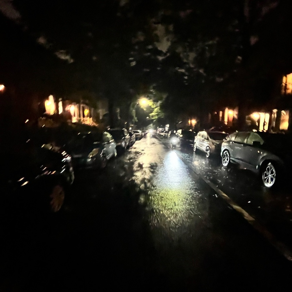 Meet your Posher, Leena